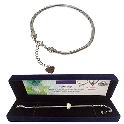 316L Stainless Steel European Style Charm Bracelet Chain with Gift Box - High Quality Master Starter Bracelet - 8 inches - Compatible Fits Pandora Beads - Perfect Present for Birthday Christmas Mother Day Anniversary Holiday - Best Gift For Girls Teen Gir