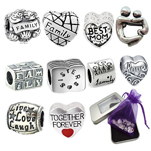 N8 European Style Charm Bracelet Necklace Beads - FAMILY LOVE Together Theme - Premium Quality - Gift Box - Fits Pandora Troll Chamilia Biagi