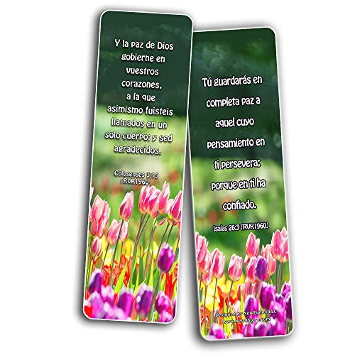 Spanish Peace Bible Verses Bookmarks (30 Pack) - Handy Spanish Bible Texts To Learn What Traits Define And Constitute Virtuous Women from the Many Lessons of the Bible