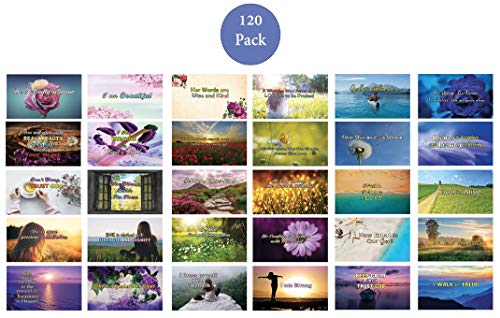 Daily Devotional Cards for Women NIV Version (30 cards x 4 sets) - Handy Daily Bible Study Cards