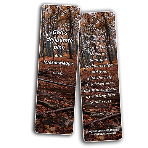 Seek God's Plan Memory Verses Bookmarks (60-Pack) - Great Giveaways for ministries and Sunday Schools