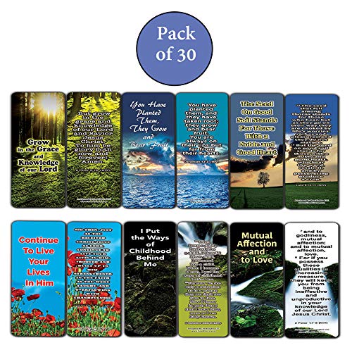 Everything You Need for Growth Bible Bookmarks (12-Pack)