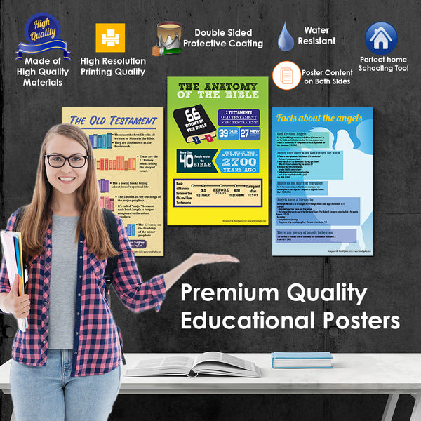 NewEights Bible Knowledge Series 4 Learning Posters (12-Pack) â€“ Great Bulk Value Buy
