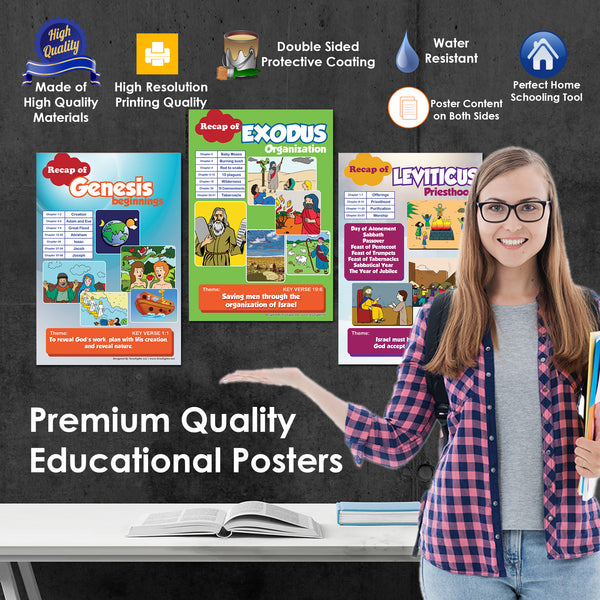 NewEights Bible Knowledge on Old Testament Series 1 Children Learning Posters (24-Pack)